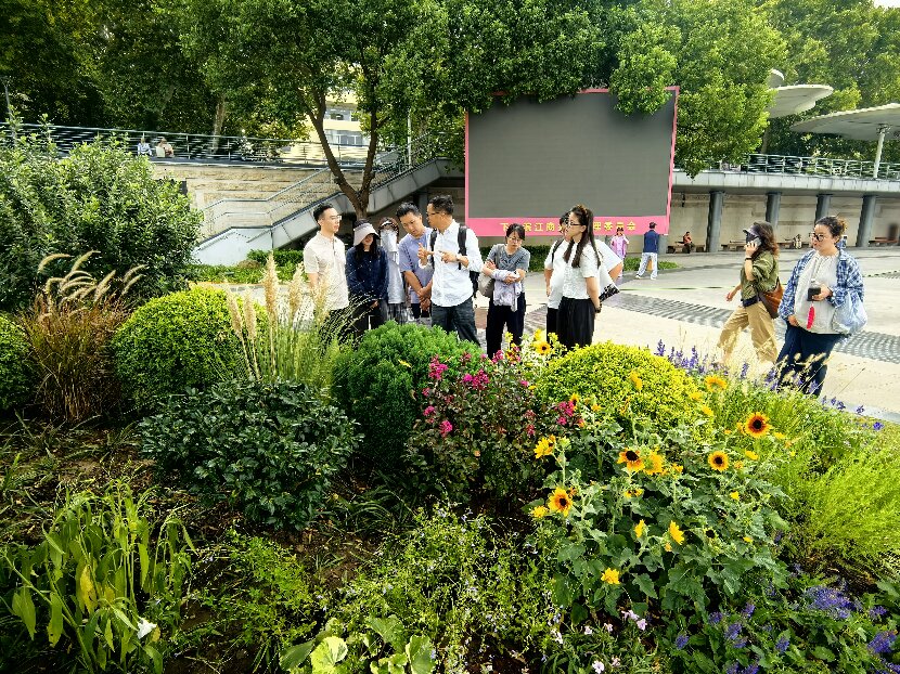 上網1
