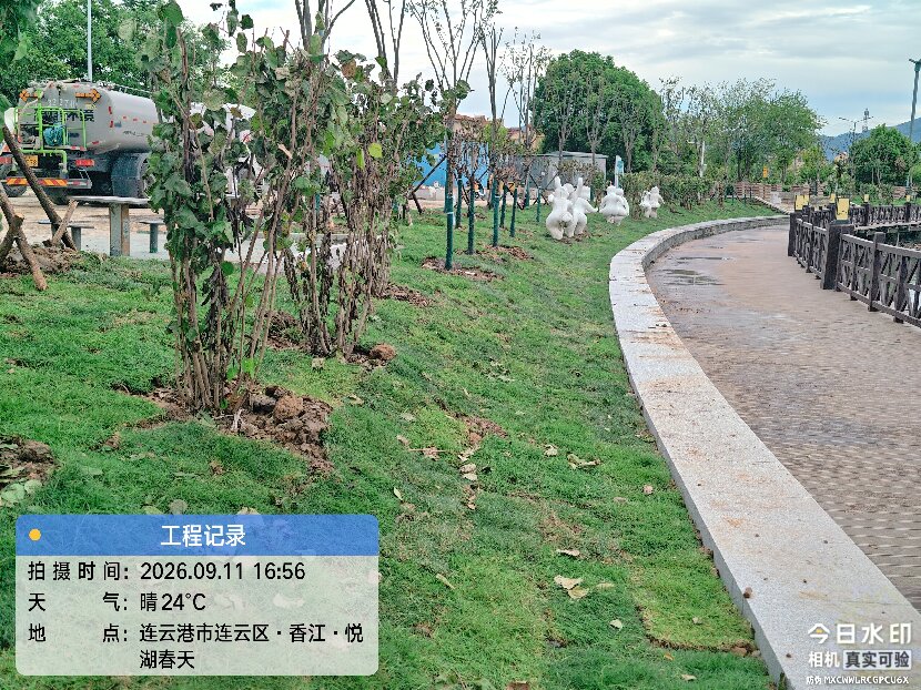 上網1